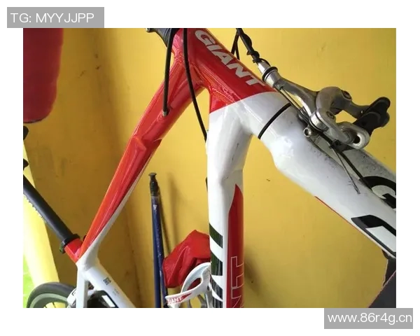 深圳极限运动队引领潮流最新极限运动意识TOP10全面解析